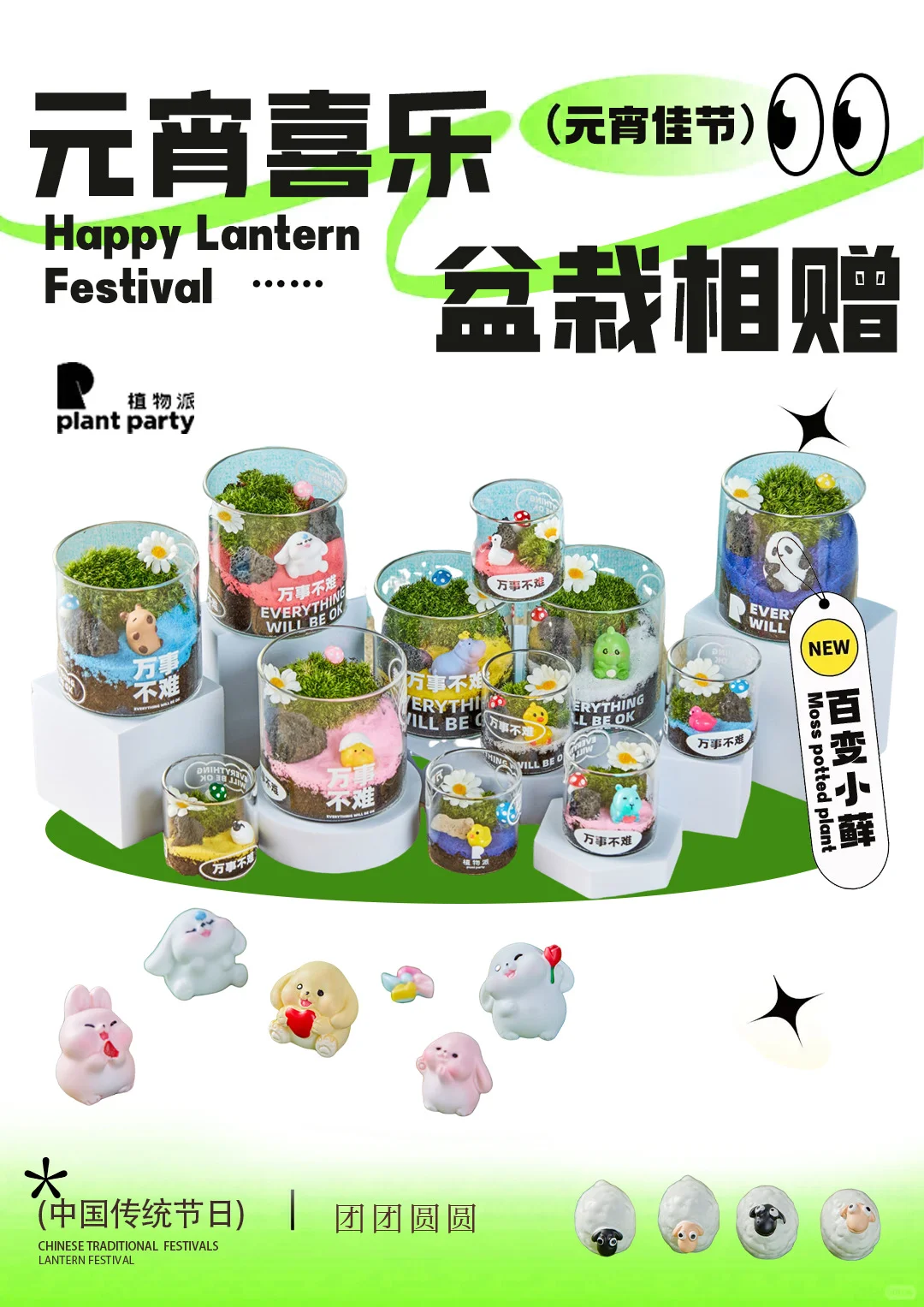 免费送盆栽啦！春天的第一份绿意请查收🎁