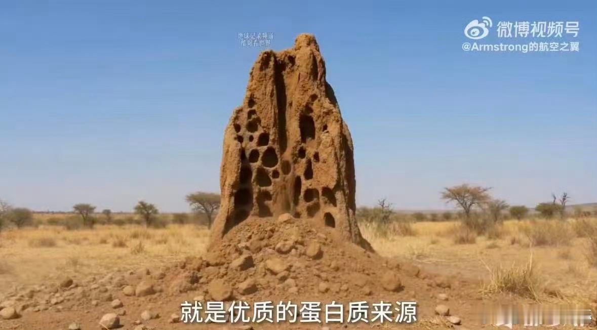seedance制作的人类进化史科普视频即梦AI赋能知识科普领域，鲜活演绎人类进