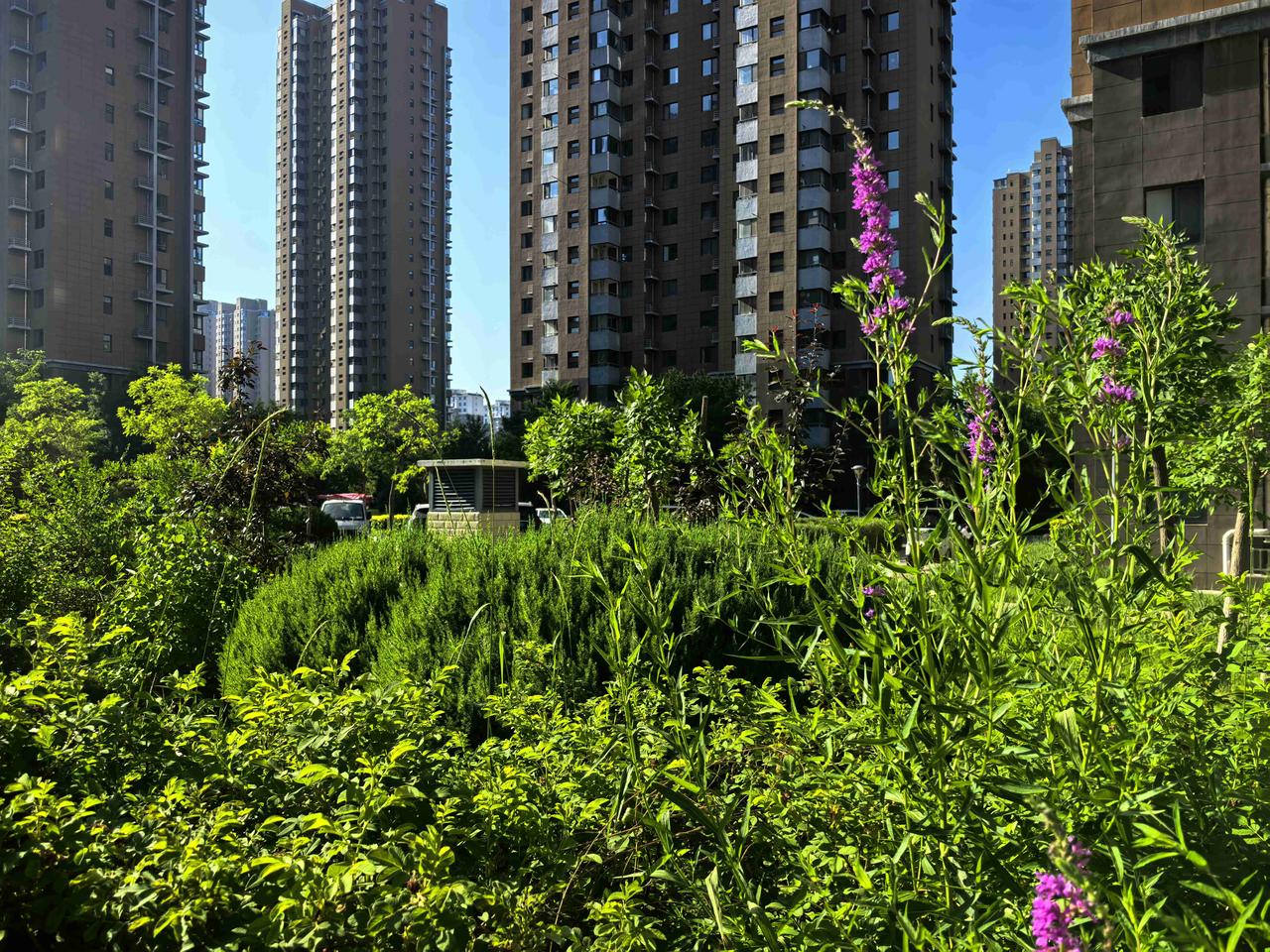 我的今日状态：😁轻松愉快
我这里的天气：☀️晴天
天气太热了，多喝水，注意防暑