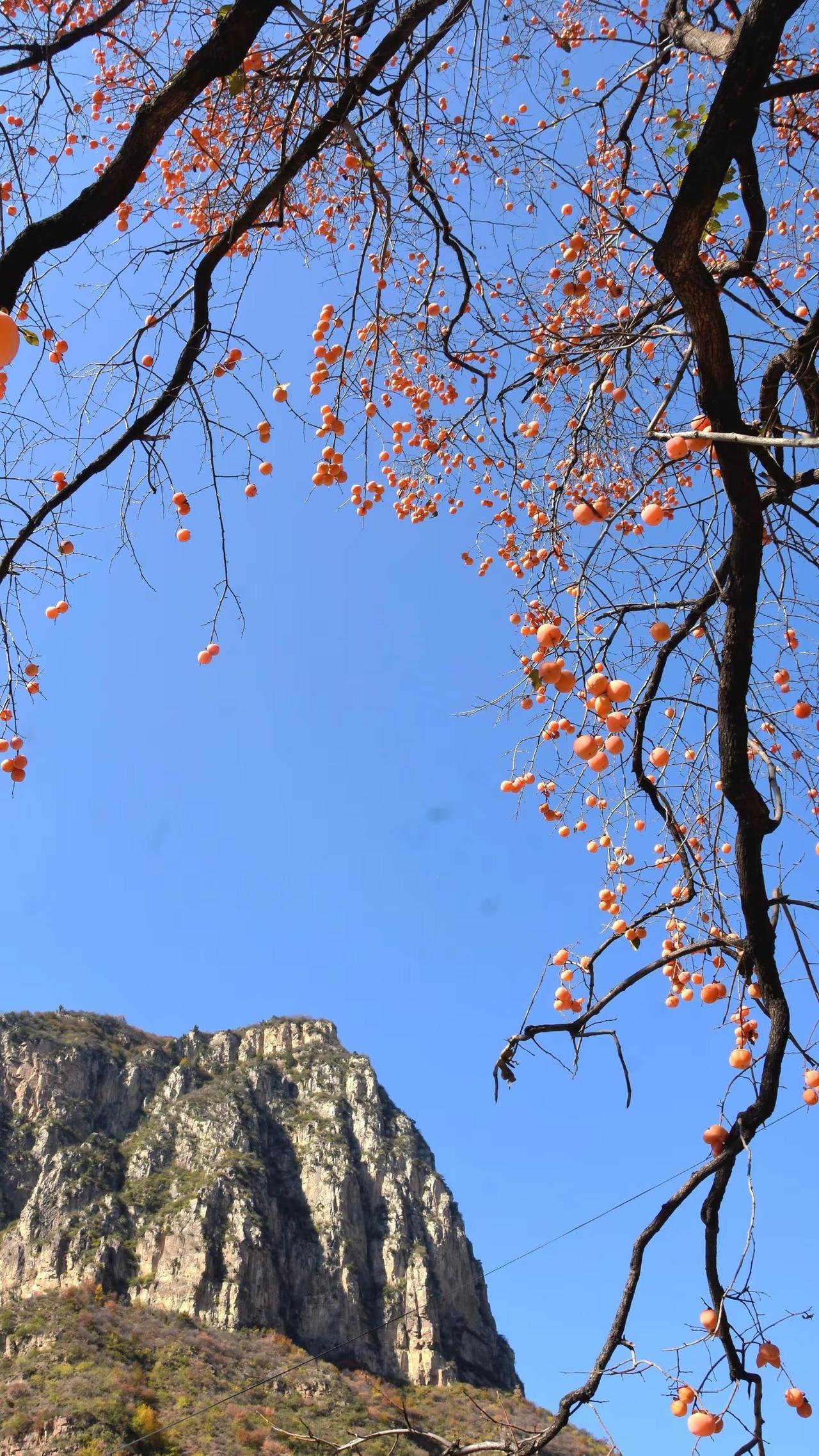 记录•太行一日