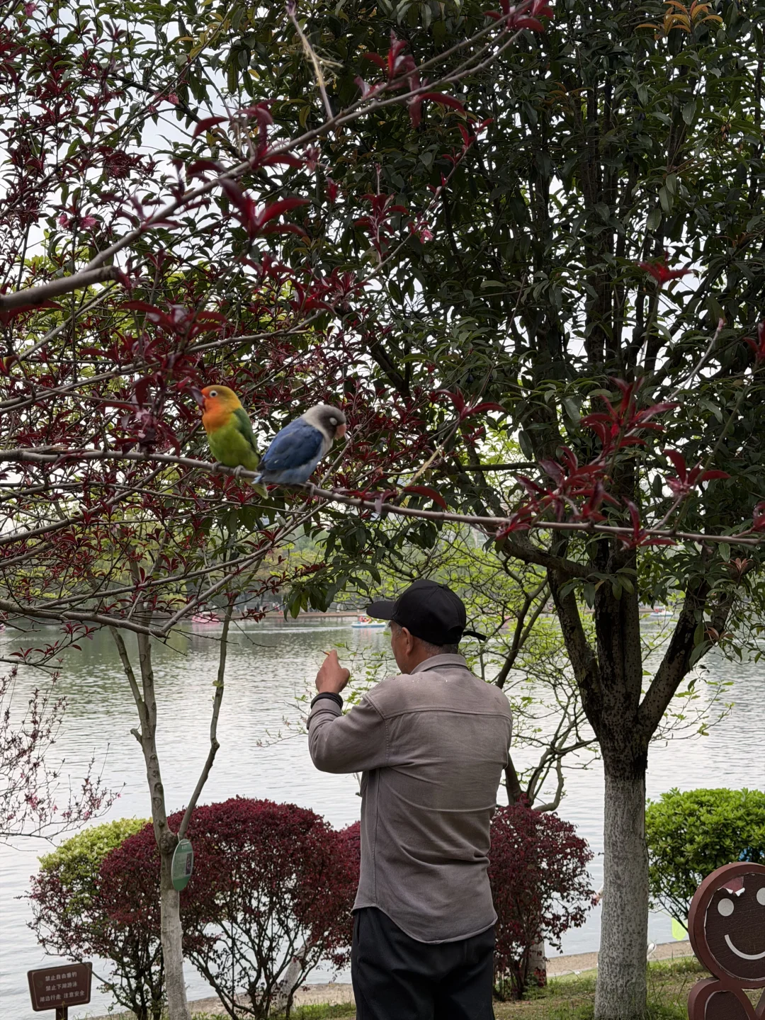 烈士公园坠靓的一道风景线。。。。