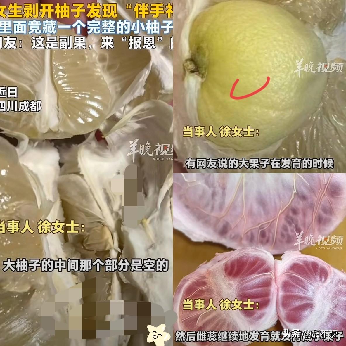 “报恩果？”四川成都，女子买了一个柚子回家吃，可剥开柚子后就发现中间有个部分是空
