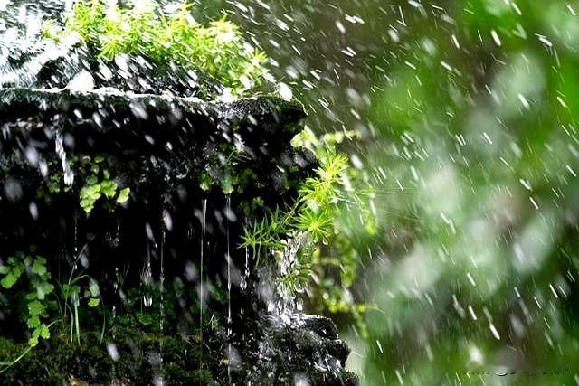 “涝不涝，就看入梅”，今日入梅，2026年梅雨时节会有大涝吗？

6月11日（农