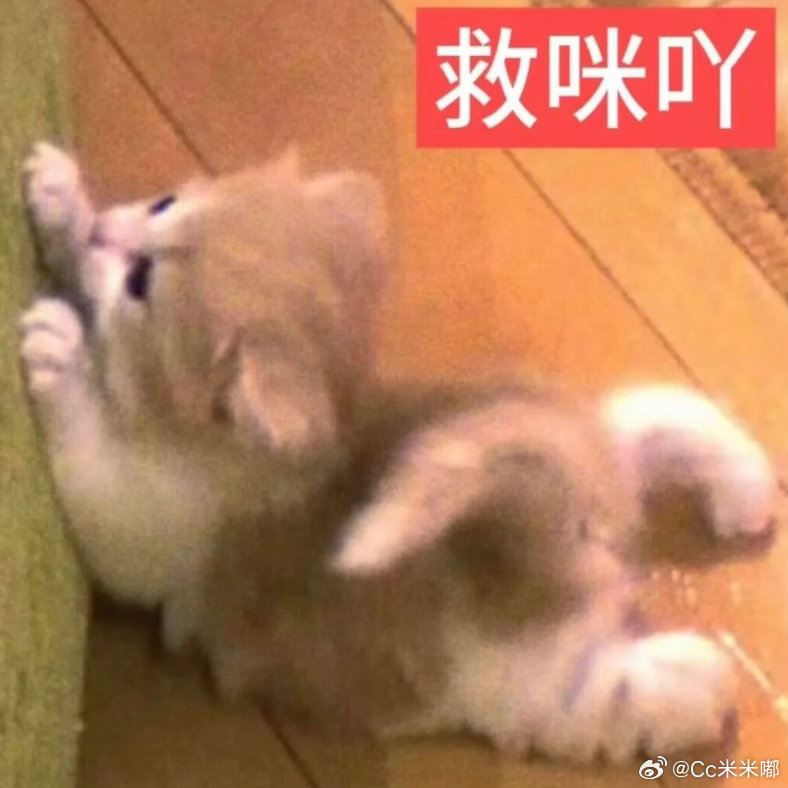 内衣喜欢就扣最后一排扣子 吃饭动作大吃着吃着崩开了 