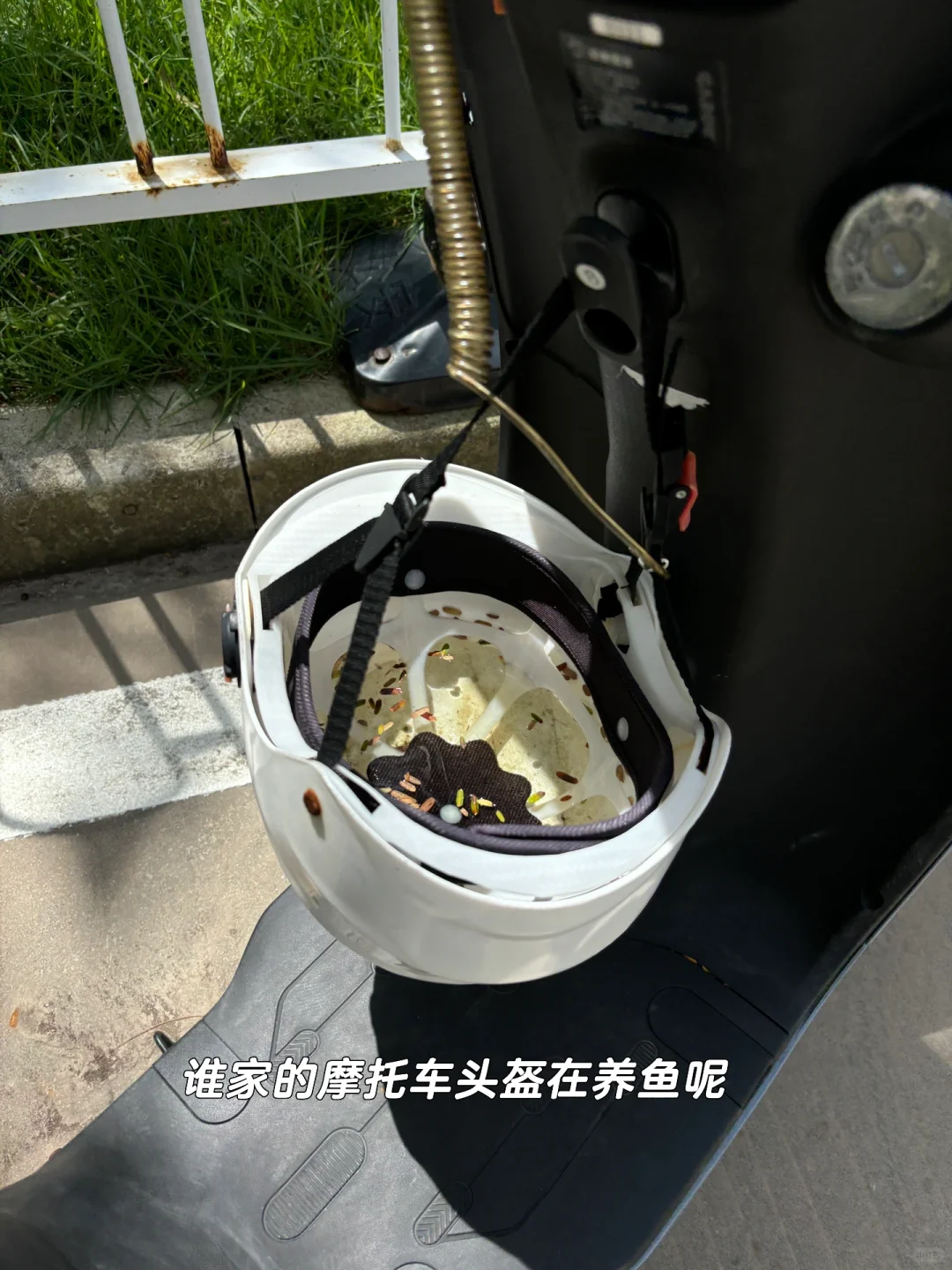 2️⃣5️⃣岁海边黑皮村民的一周plog