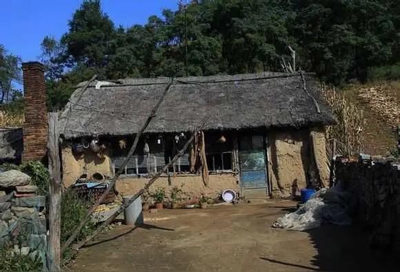 六零后我的前半生5
人生之最初记忆（2）

瘦小的我在寒冬腊月里来到了这个世界。