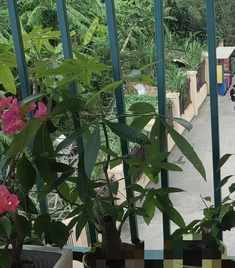#每一个瞬间都值得被记录#儿子休假期满，今天去上班了，说是到十一月低才能再次休假