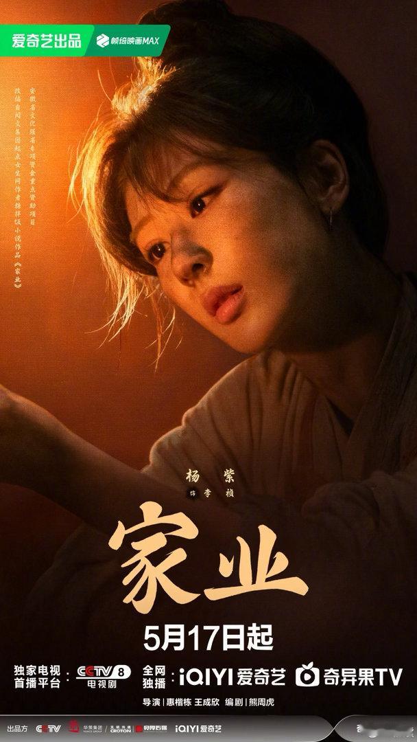 家业灯暖墨香海报一盏烛火，暖尽人间烟火；一方徽墨，藏尽匠心风骨。李祯与家人相守相