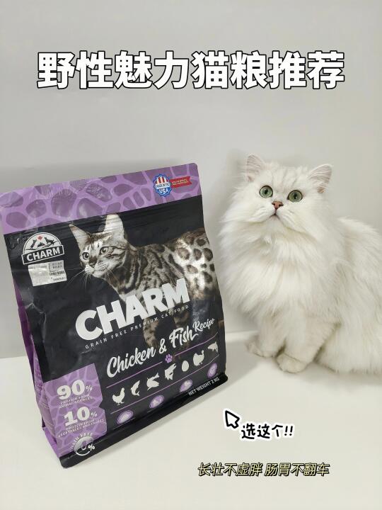 多肉配方 挑食怪真香现场