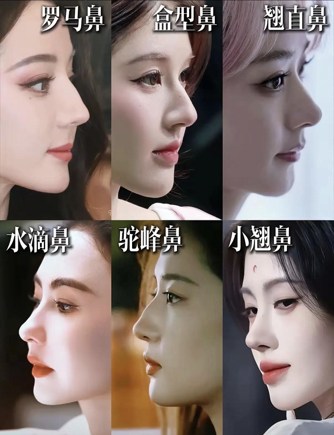 你觉得女生哪种鼻子最好看？[送心]