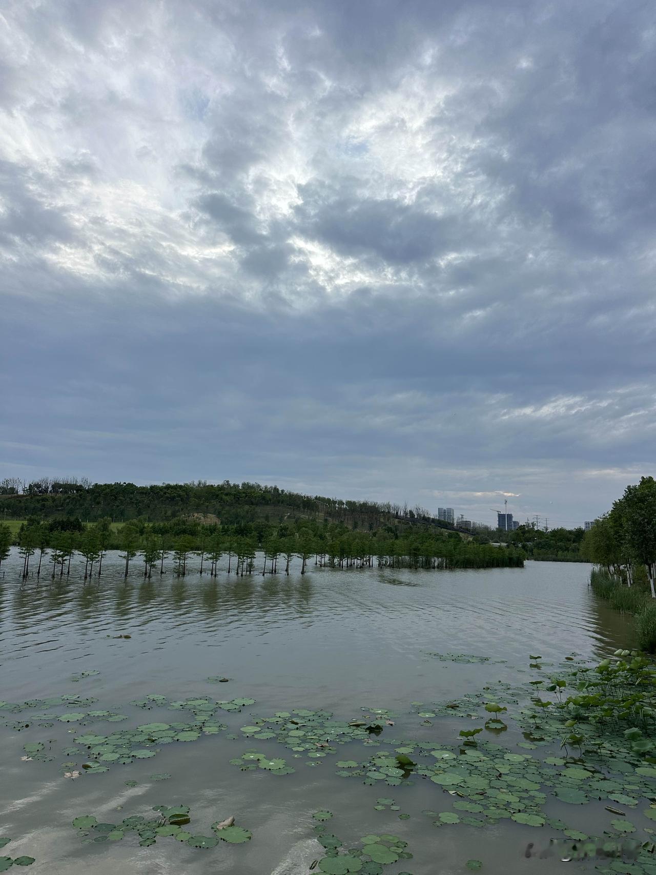 合肥少荃湖公园～