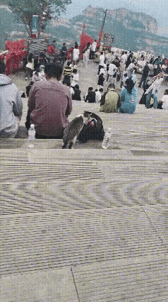 光顾着玩手机，被惯偷掏包了都不知道！

五一假期登山的游客特别多，在一处台阶处有