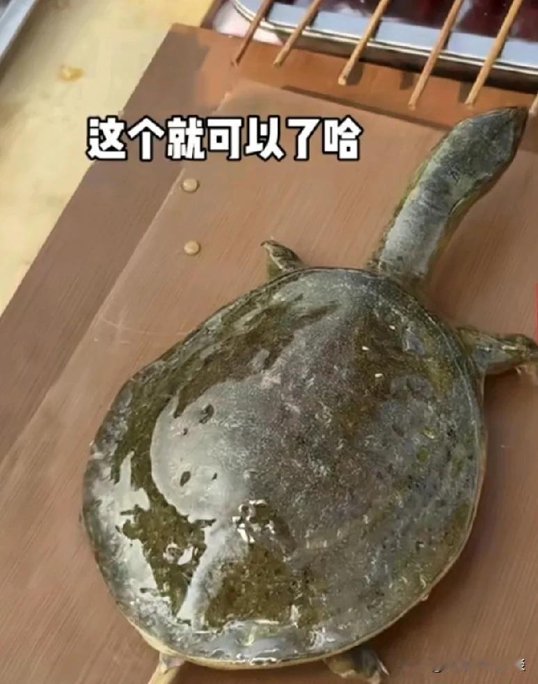 龟蜜-这个不是冰糖葫芦。

鱼蛋小壶 谁吃过这玩艺 绝美老蛋包壶 选材名贵 密盏