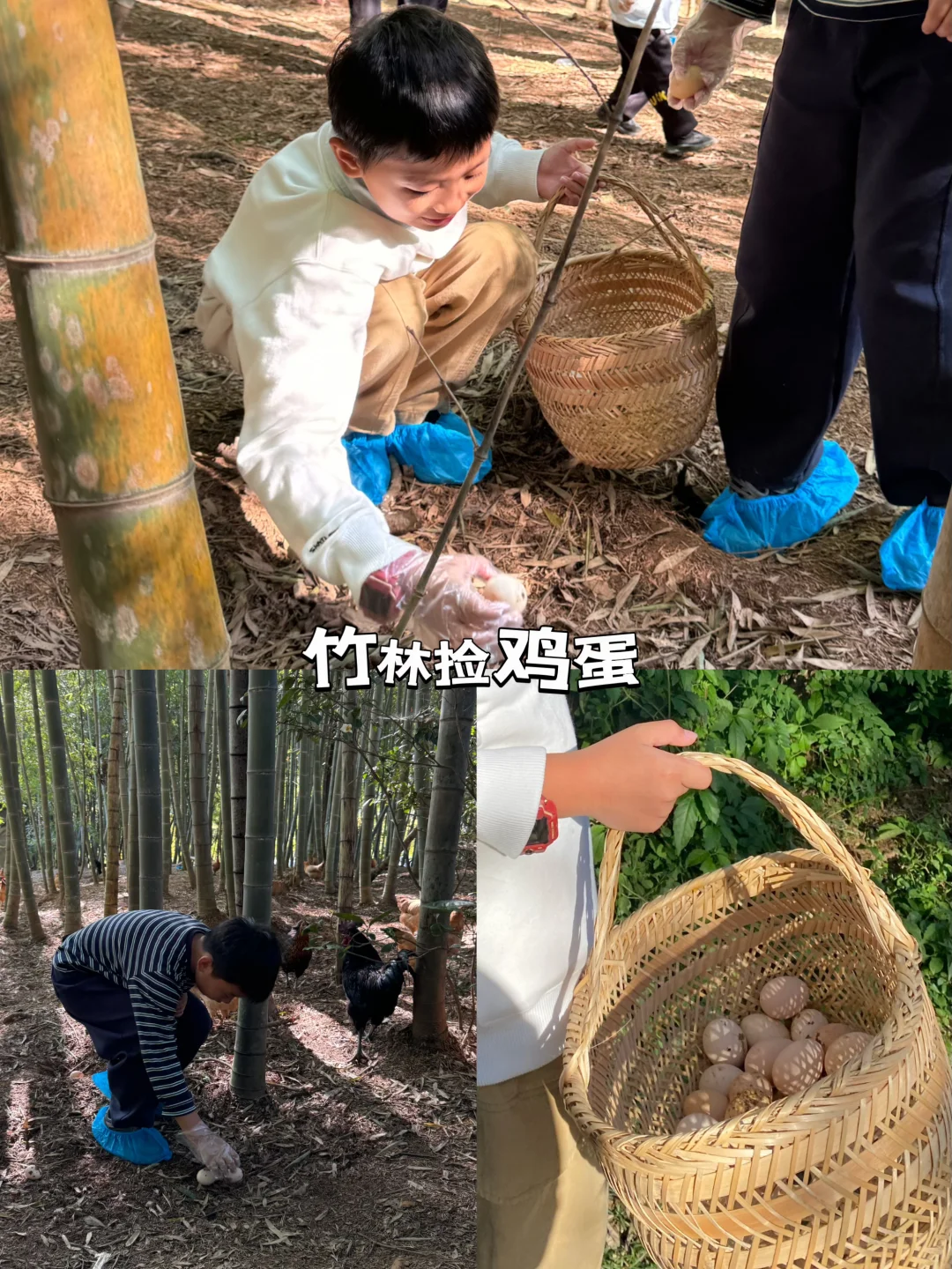 南京出发1h，去溧阳体验当农场主的一天🧑‍🌾