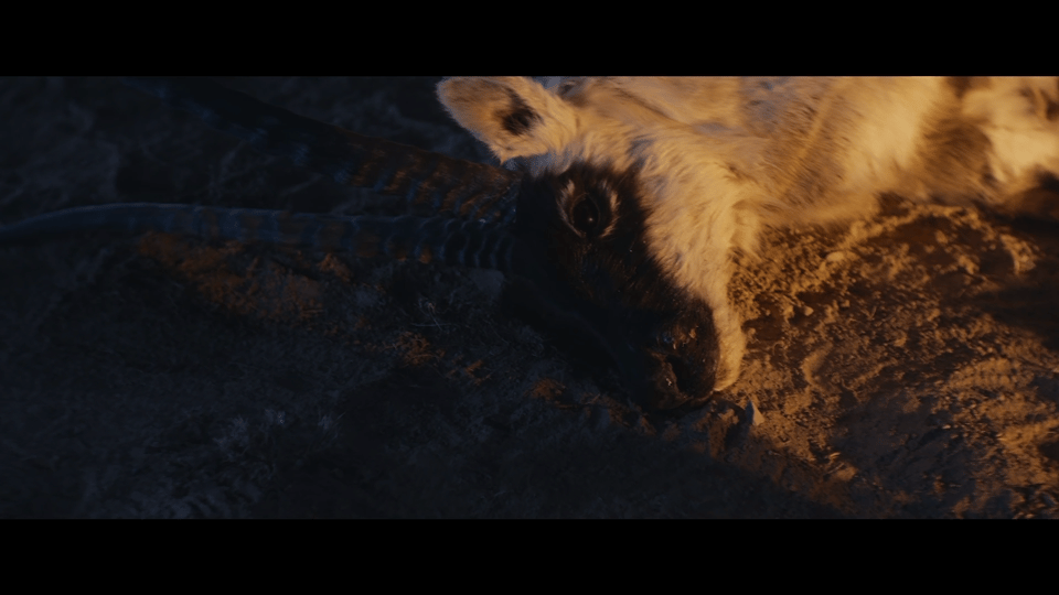 生命树震撼《生命树》前两集的冲突直接拉满！本以为盗猎者和巡山队的对抗会是常规拉扯