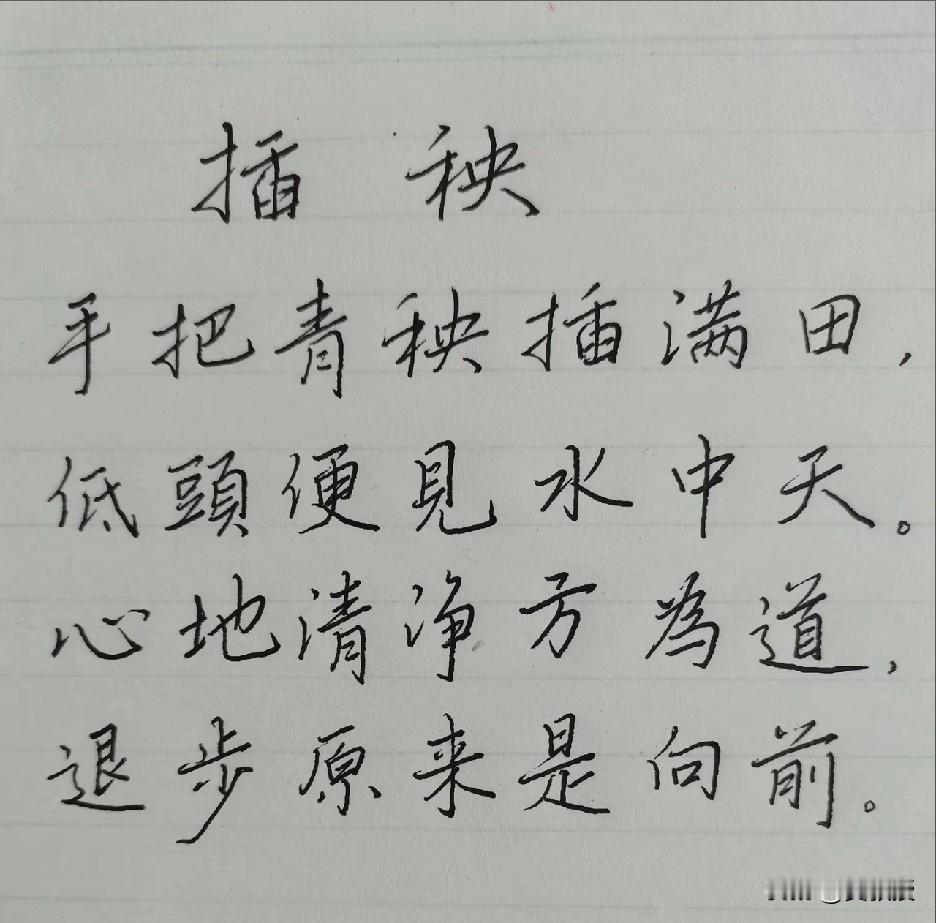 心态
是生活最好的解药