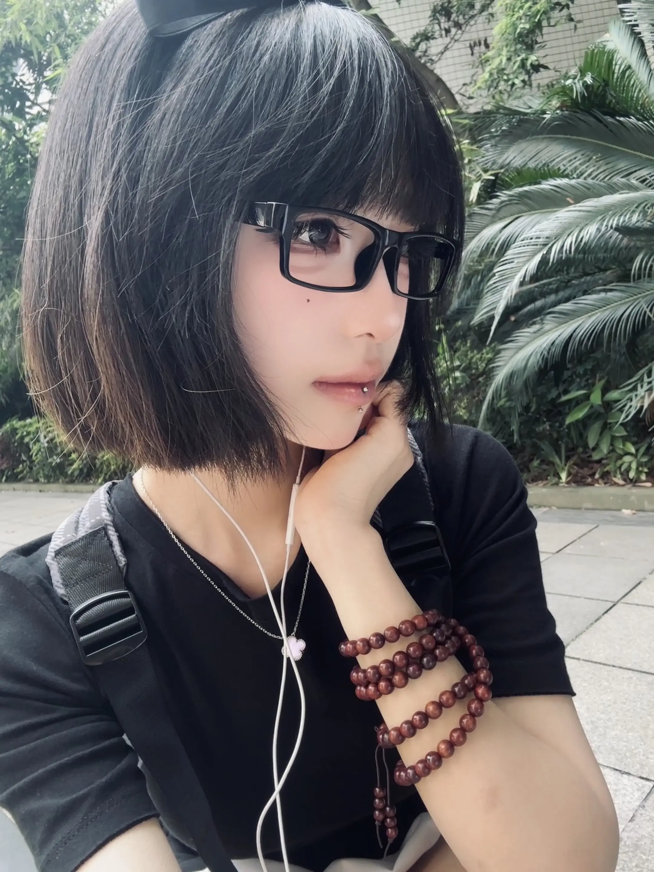 有一天我不愿再给你分享路边的断尾小猫。