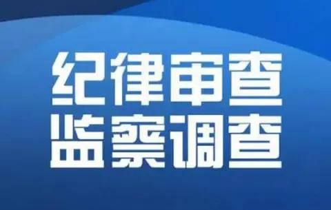 江苏盐城：盐城市数据局二级调研员朱照伟接受纪律审查和 监察调查