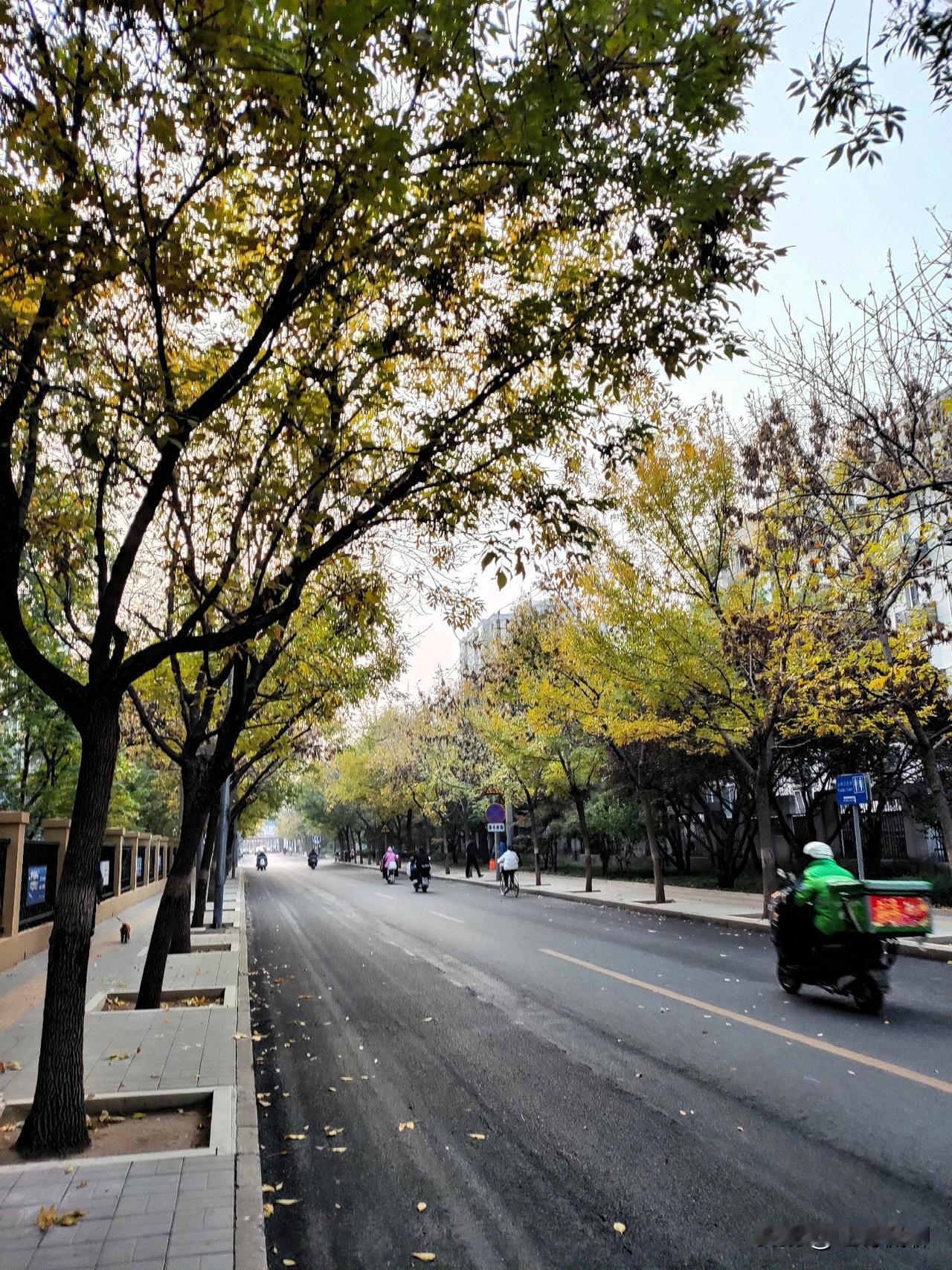 老特一生没白活[呲牙]不知结果如何[呲牙]