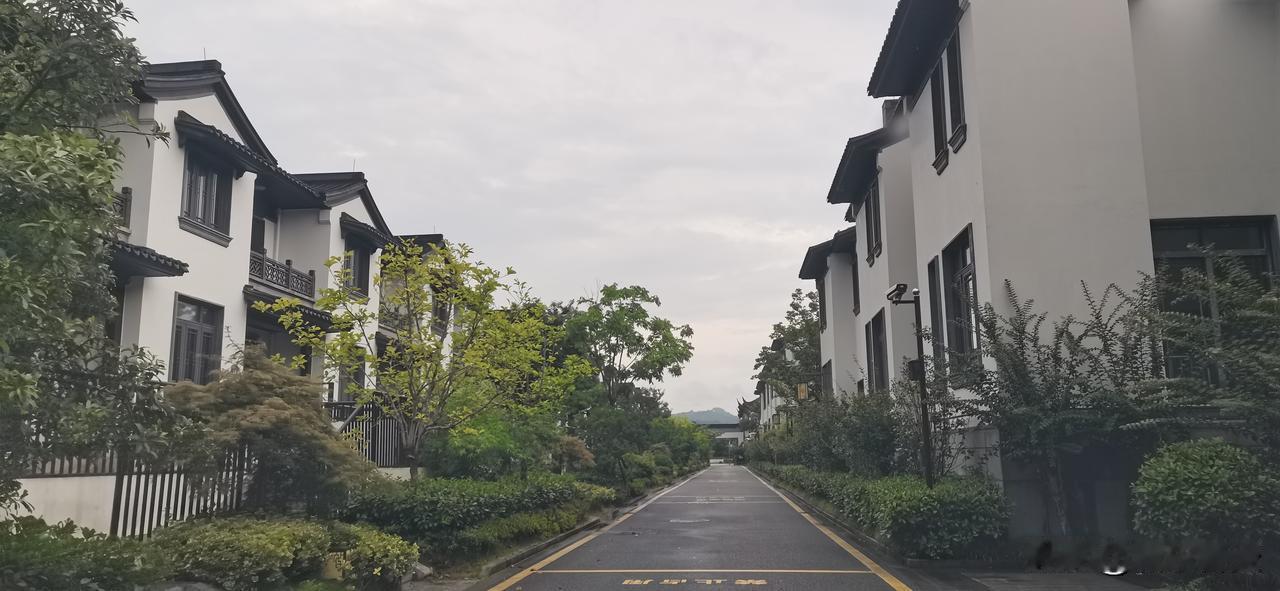 前几年，很流行这种徽派建筑，特别是这种合院排屋，有一种复古风，而现如今呢？大家喜