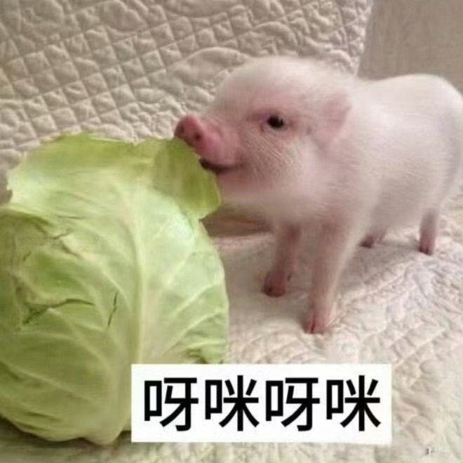 动动 