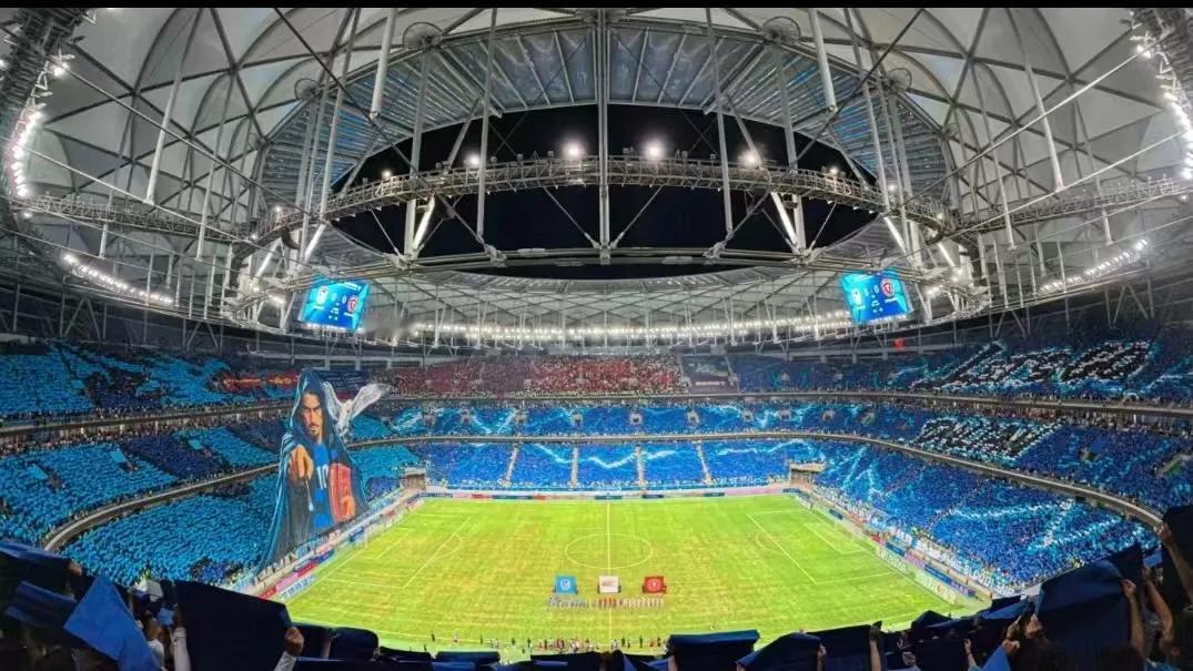 史上最牛TIFO！没有之一！太牛掰了！！震撼！关键把客队球迷的颜色都利用上了！龙