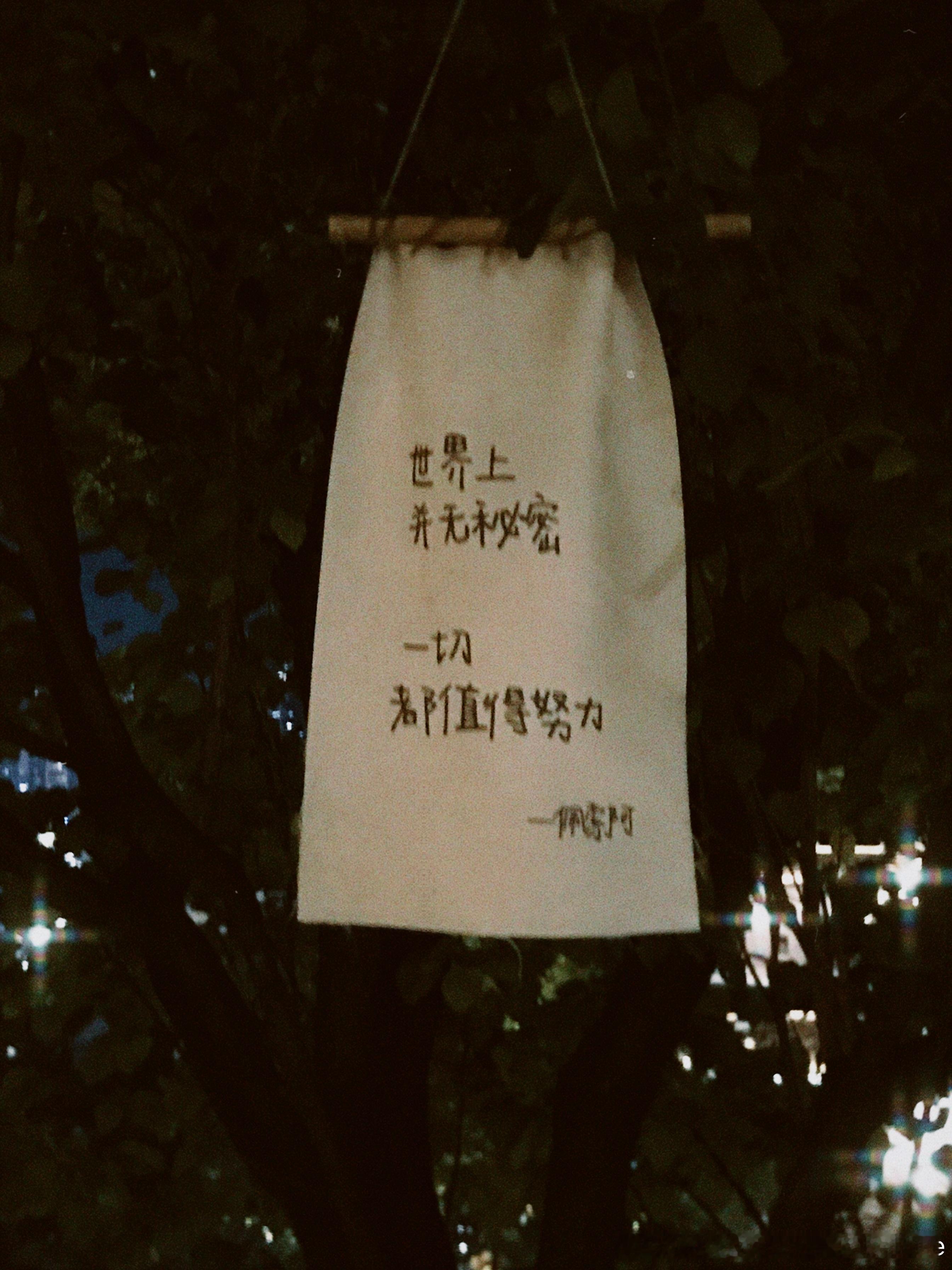 momo 散步🙊 重庆·嘉陵江