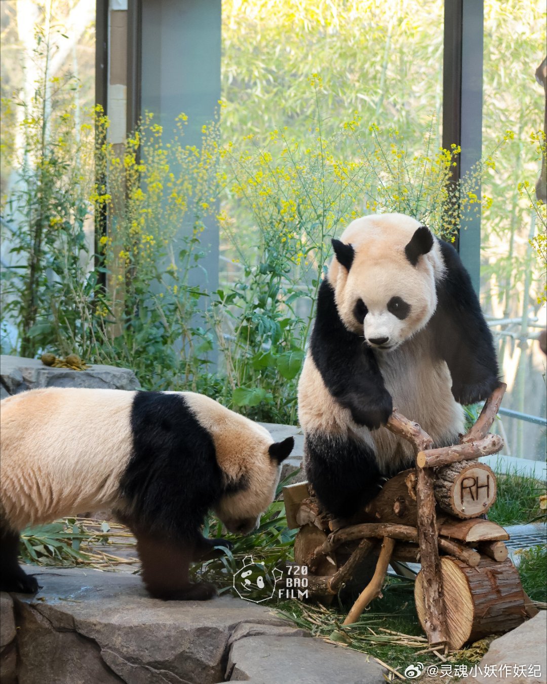 睿宝绝对是机车大佬 