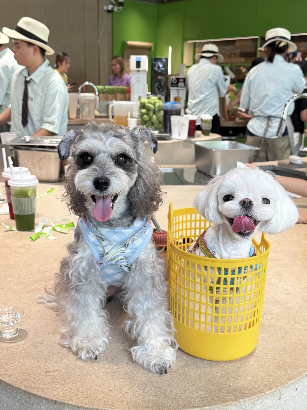 yuki&yumi探店