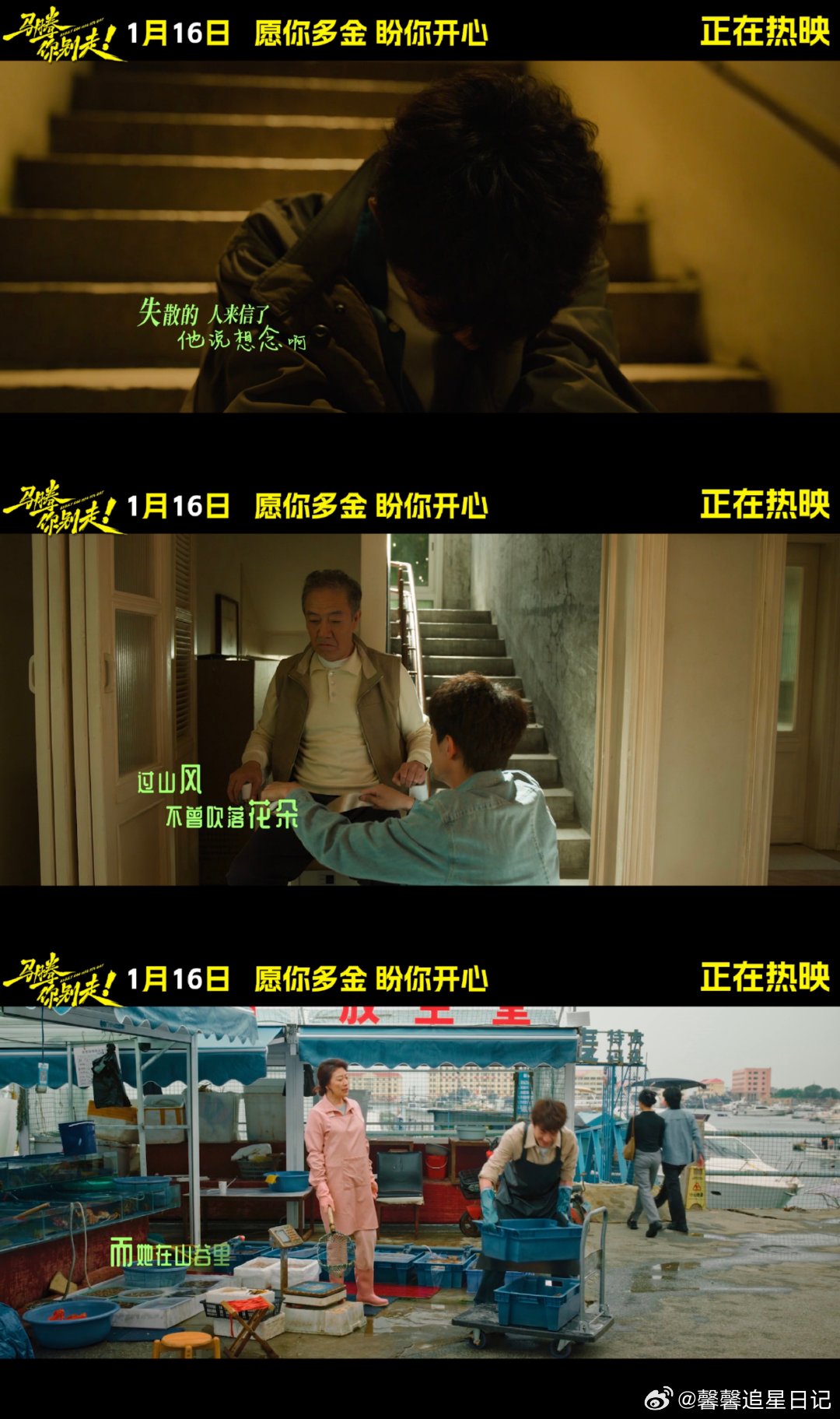 马腾你别走今日上映 从陌生试探到彼此守护，老林与马腾的缘分，始于一场雇佣，终于真