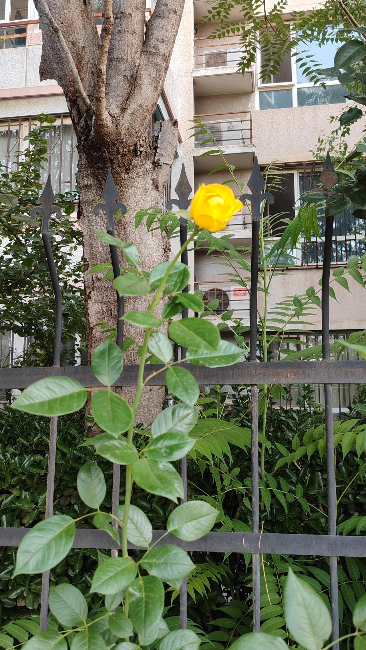 《谋定后动，事缓则圆》
清代周容记载：一年冬天傍晚，他带书童赶路进城，问摆渡人是