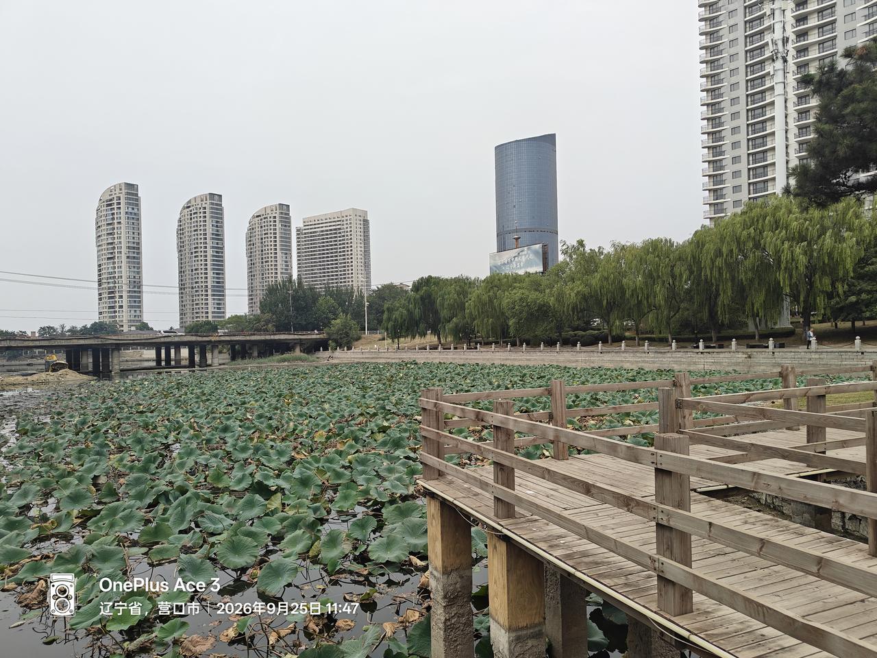节前我找了个活，在附近小区当保安。我邻居老魏在这个小区干保洁，一个月干满天数能开
