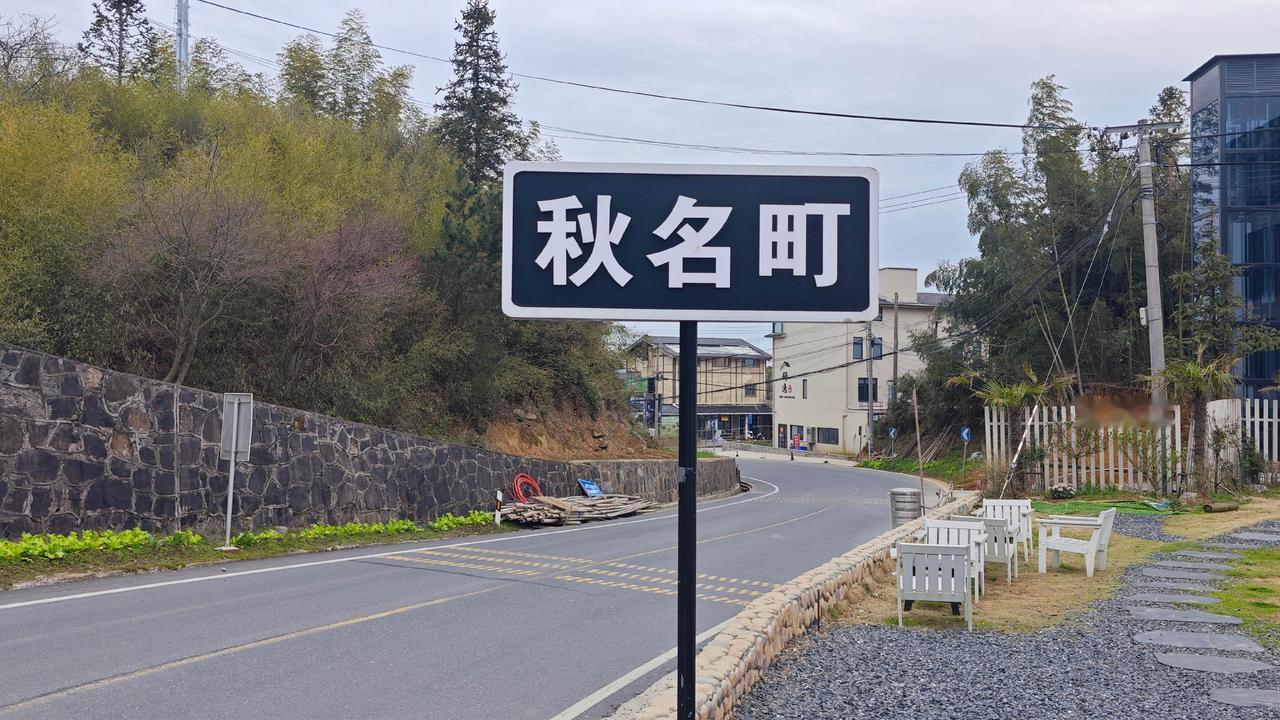 开着车绕天荒坪十八公里的盘山公路，拐过数不清的发卡弯，竹海在窗外层层叠叠地翻浪，