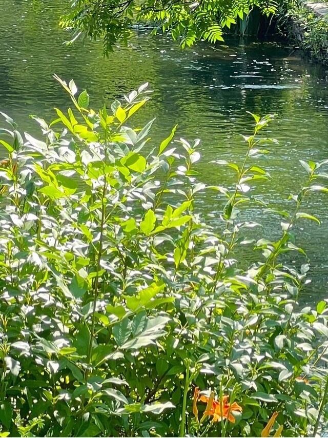 0800人生的路经历过，才知道有短有长；岁月，在无憾中微笑，才美丽；回过头，想着