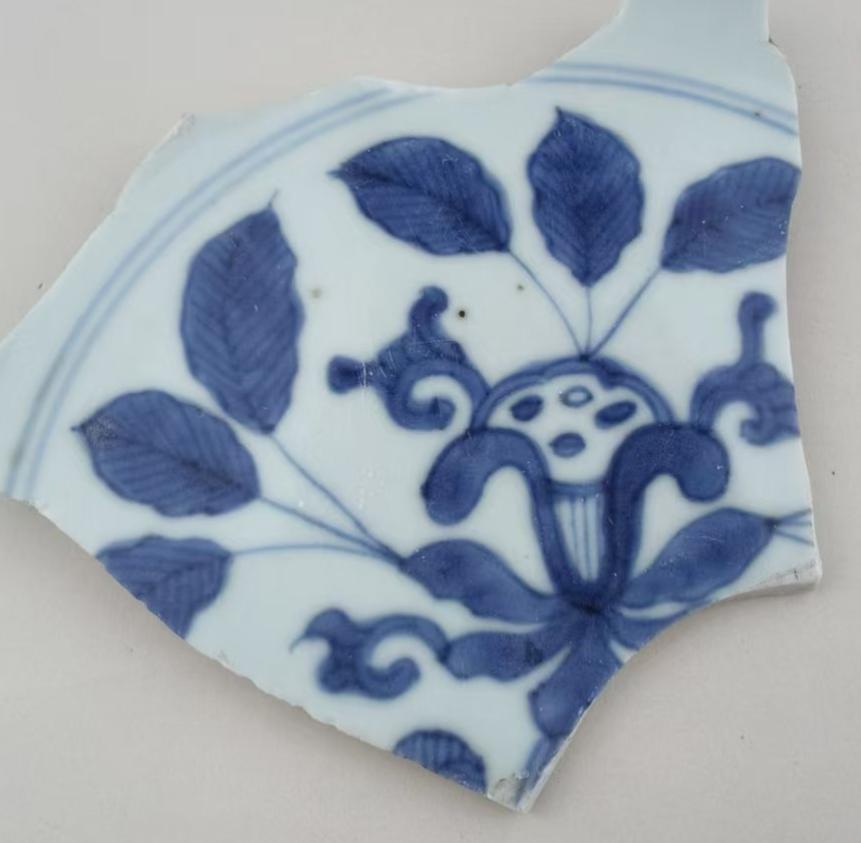 请教:这是什么花？谢谢！花 花卉