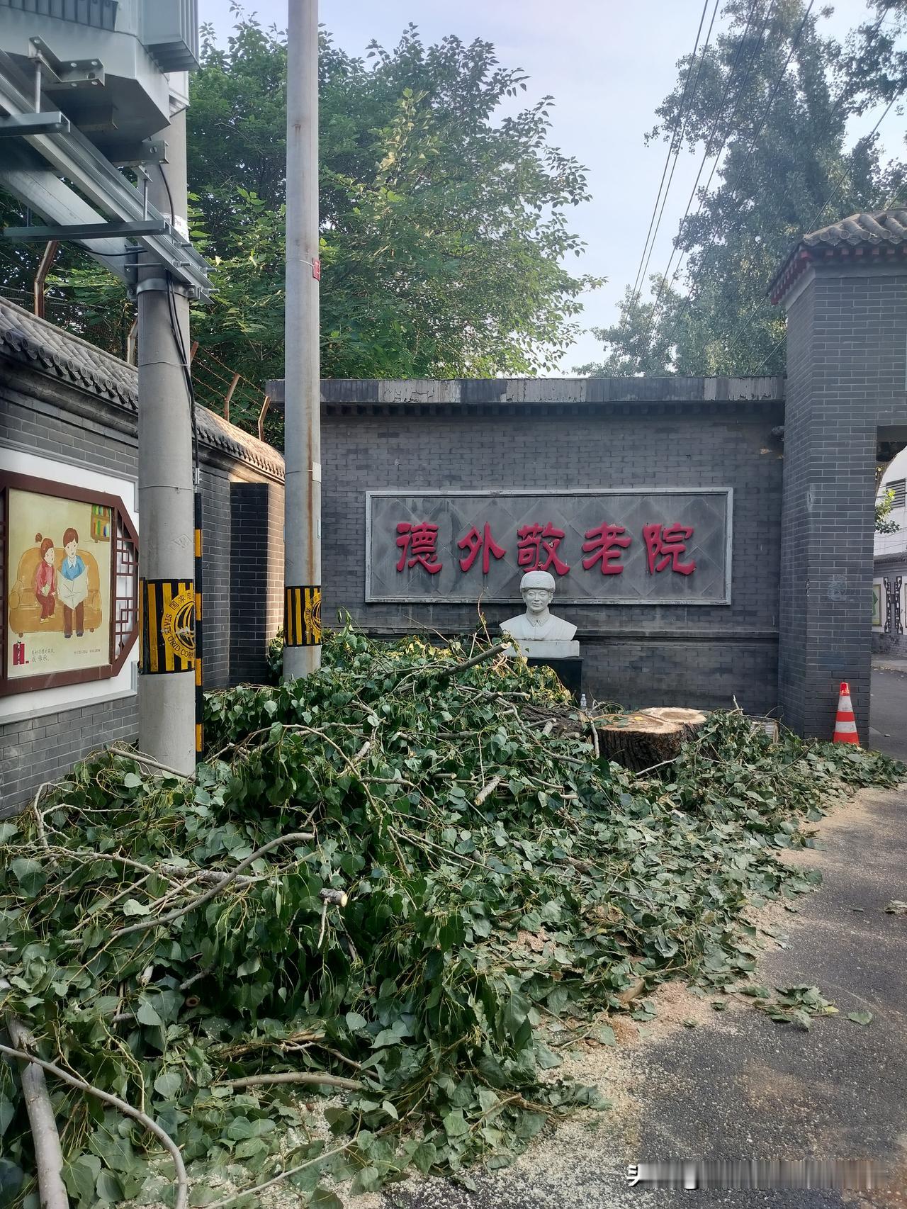 各领域拔节生长尽显发展动能！霍爷我起床起猛了，看成了拔苗助长[马思纯的微笑][马
