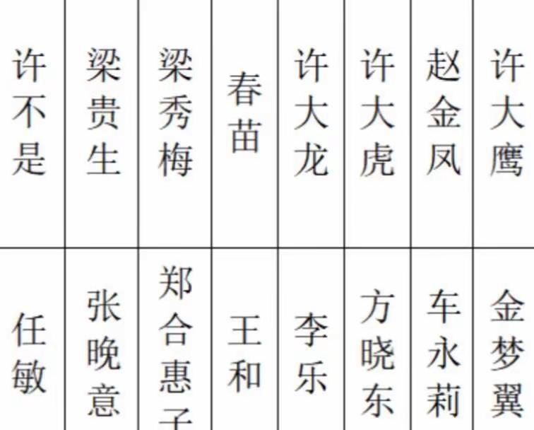 湖南卫视年代剧《柿柿如意》近日云南开机任 敏·饰·许不是张晚意·饰·梁贵生郑合惠