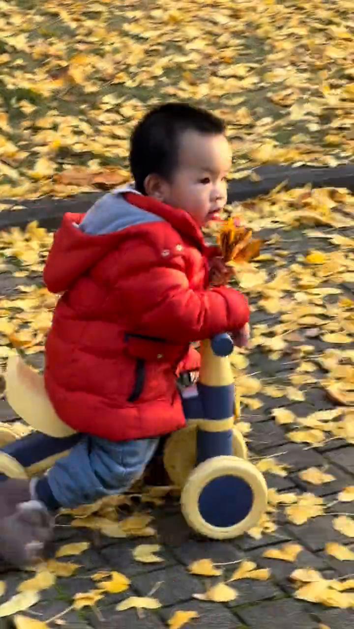 重庆终于出太阳了，十二月五号重庆绿碧公园。大家看，真的好爽，蓝天真的好安逸。
绿