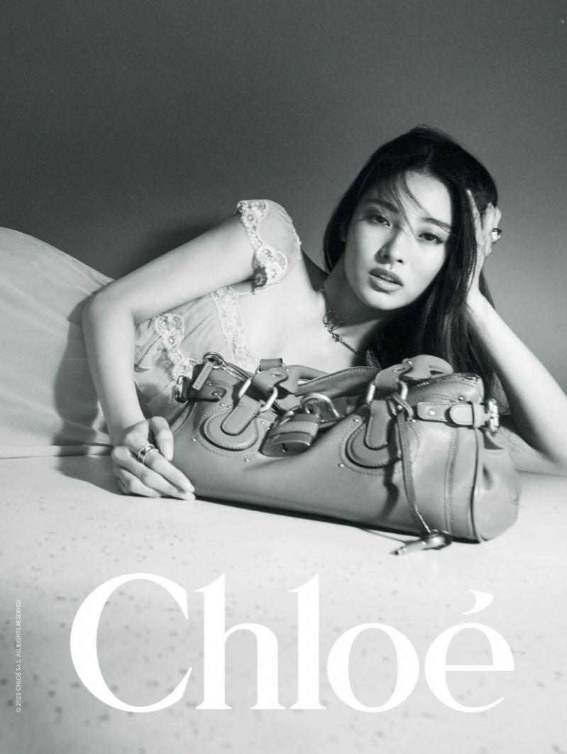 Anna x Chloé Paddington Bag Campaign 202