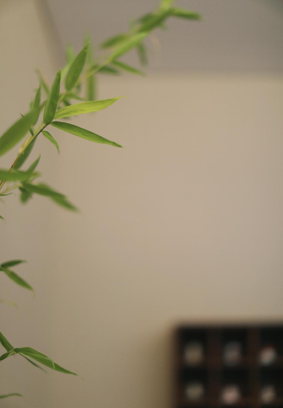 一位性学家说：
“男人身体垮得快、走得早，根子很简单。只要老婆没了，或者家里天天