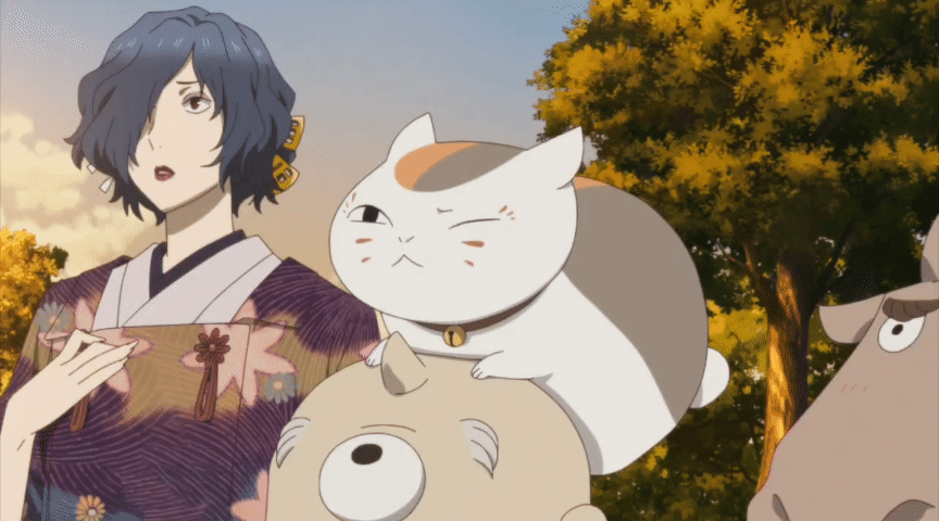 猫咪老师 过上了真正猫咪的生活，吃、喝、睡、上树[嘻嘻][嘻嘻]#夏目友人帐##