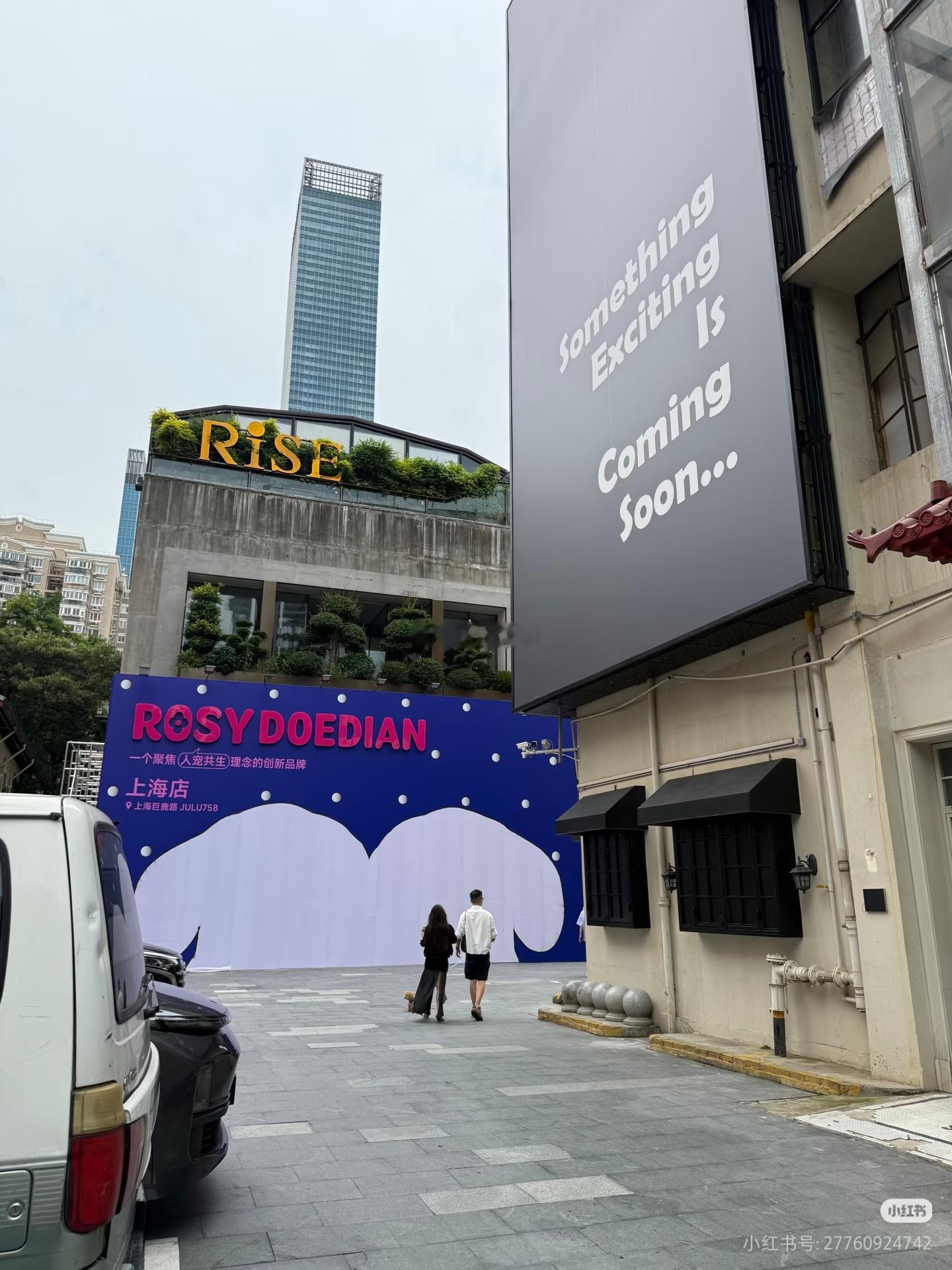 等待rosydoedian 