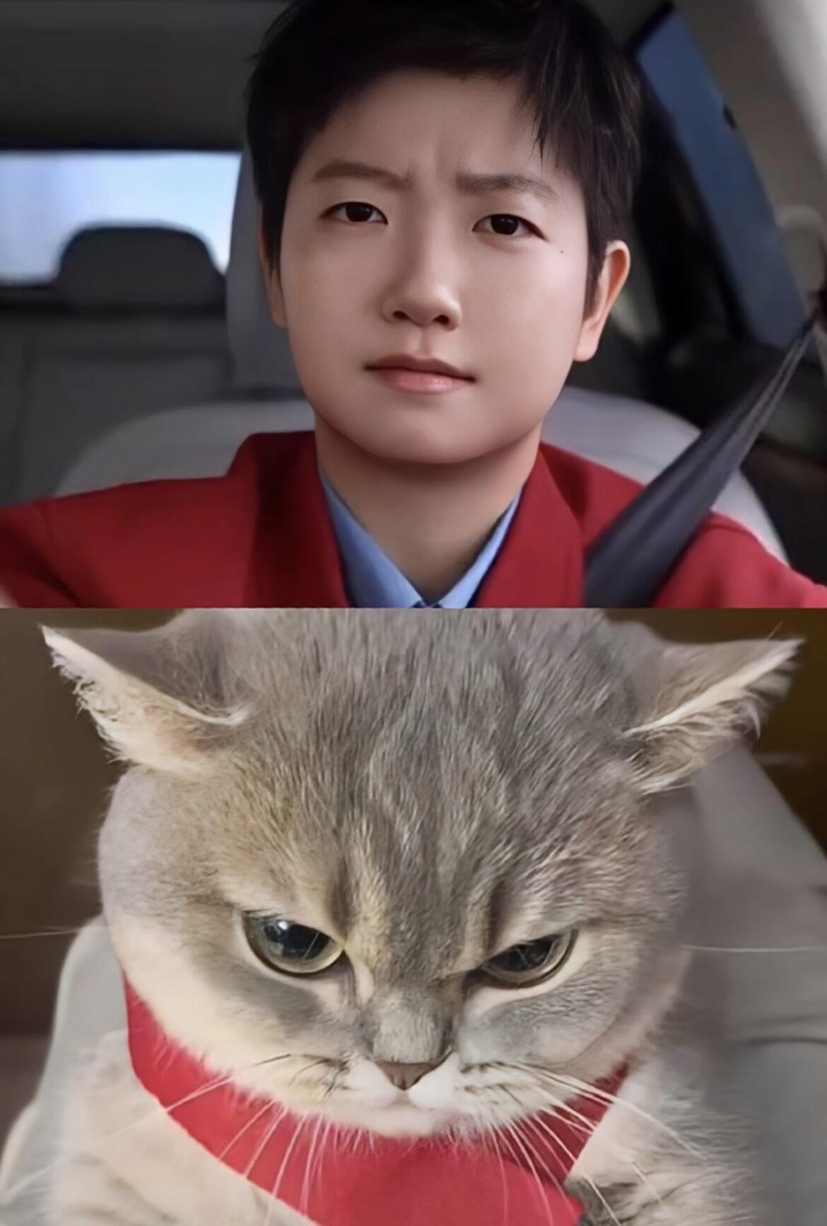 这明明是一模一样，莎莎的这个表情太像小猫了。

可爱的小猫咪，这是莎莎拍摄的红旗