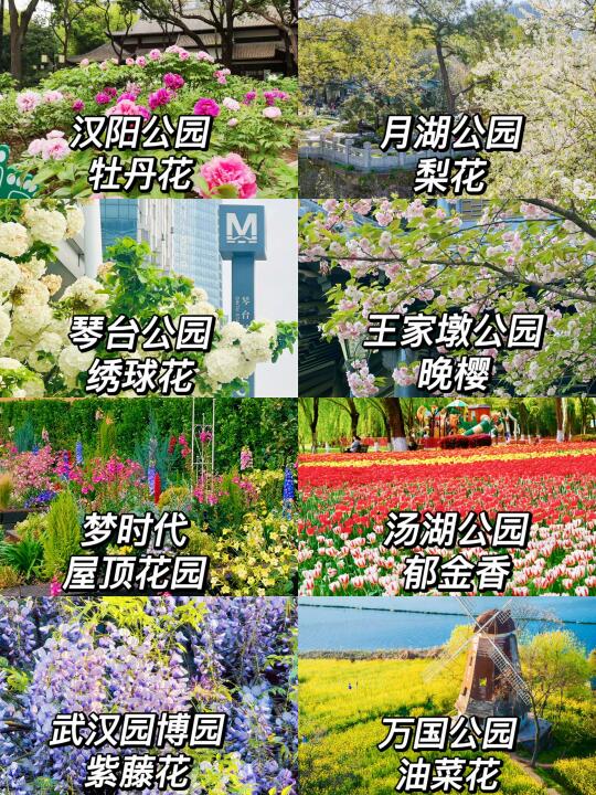 武汉春日赏花合集💐是百花盛开的热烈春日啊