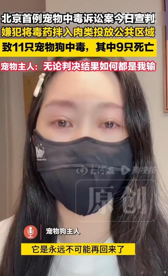 男子毒死9条宠物狗一审宣判 4年太少了！这也是活生生的生命！ 希望他此生获得同样