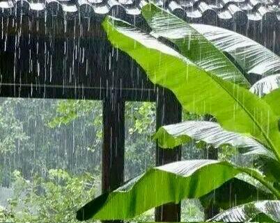 捣练子 · 立夏大雨

天有意，酒多言。
雨锁高楼醉入笺。
谁悯落花寒绿苑，
满