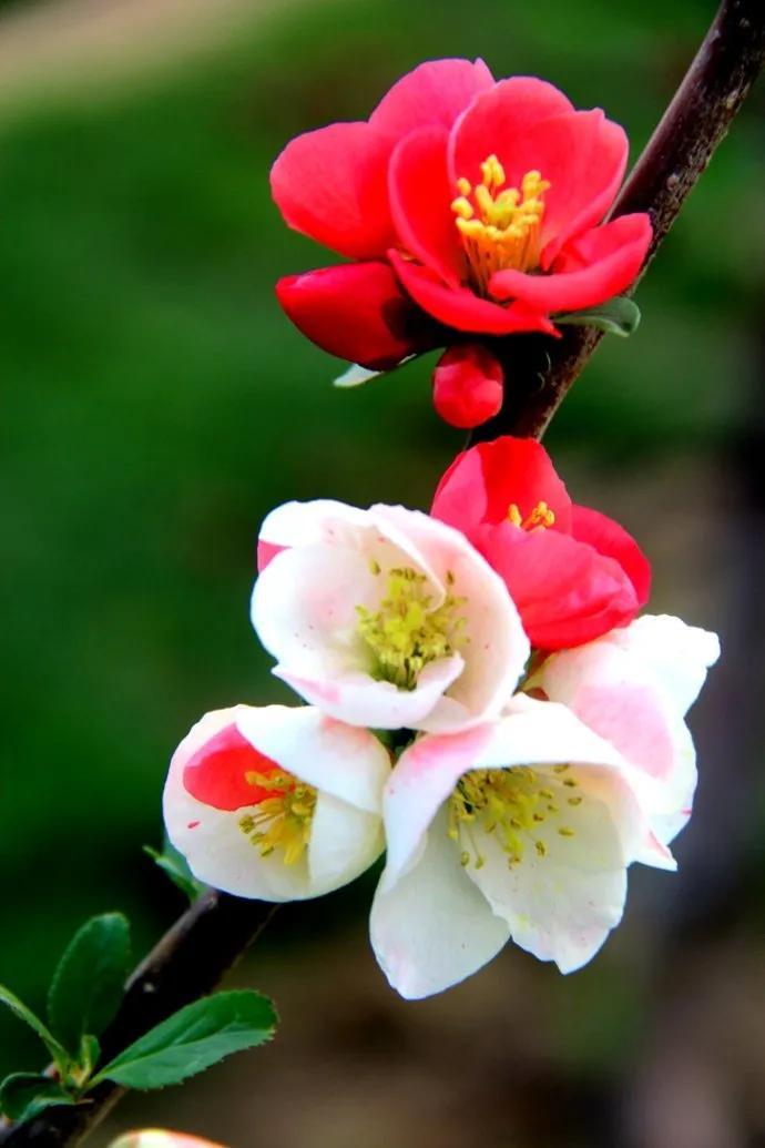 周四盘后传来重磅消息，周五沪指能否向上修复趋势？
周四盘后重磅消息如下：
一，3