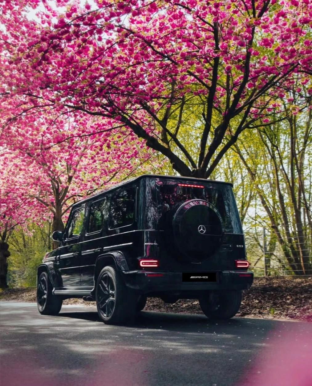 V8动力强劲，内饰豪华升级，无论是城市通勤还是野外撒欢，它都是当之无愧的王者。