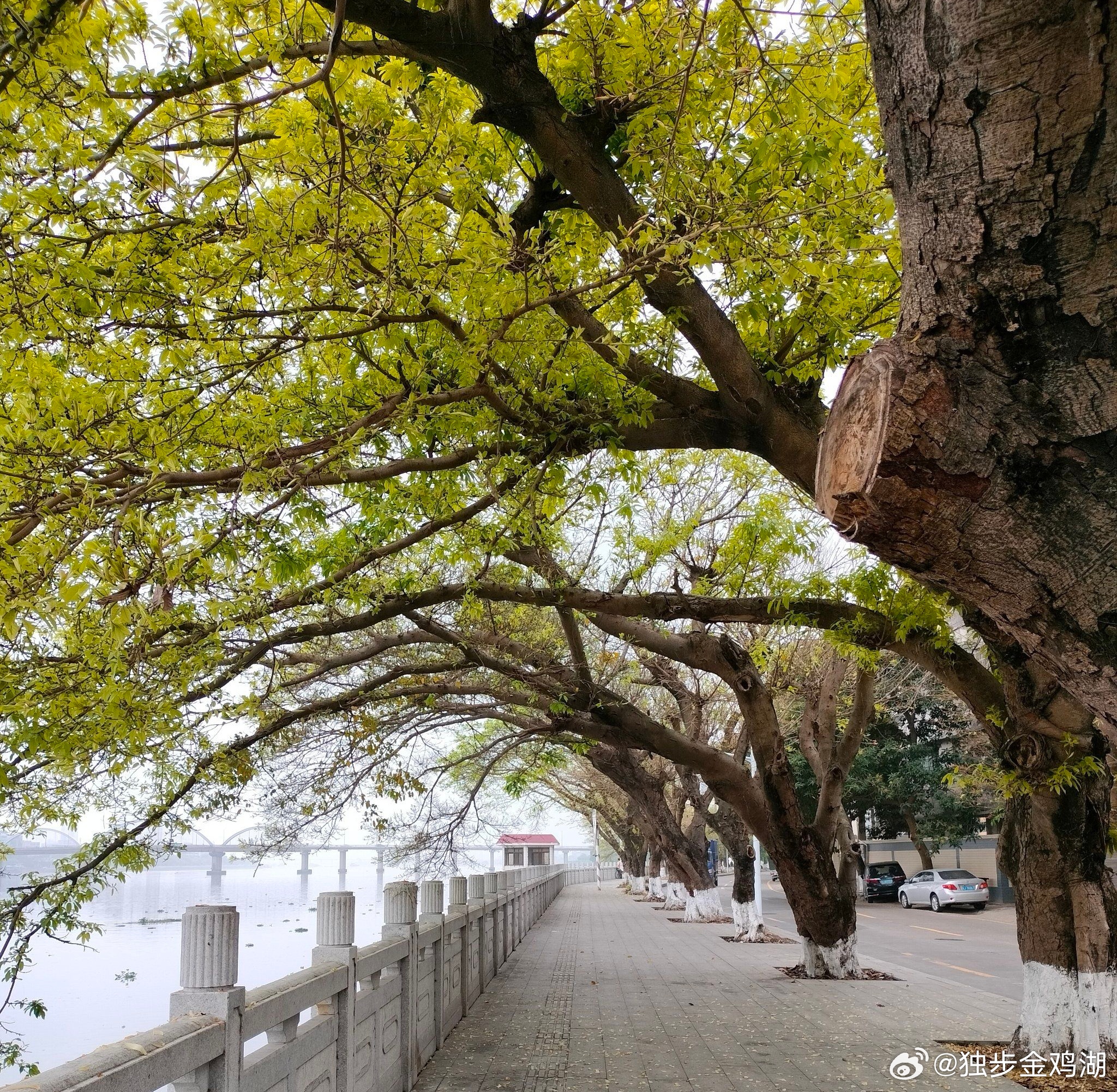 心里话        努力是必须的人生态度，睁开眼就是新的开始……      