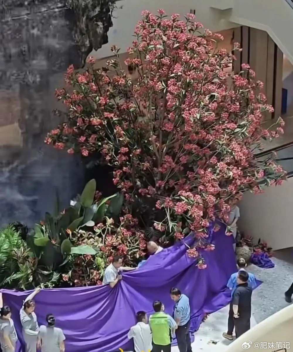 西安赛格的这一跳实在令人惋惜但到底能不能砸醒资本家的良心还未可知商场和商户理应互